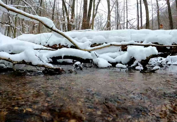 山上的雪水如何凈化處理達到生活飲水的指標要求？
