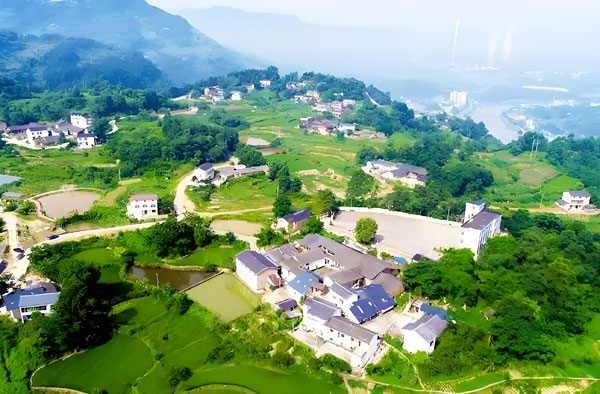 重慶江津區(qū)農(nóng)村供水保障10t/h一體化凈水裝置用哪種?