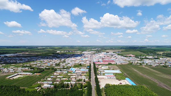 黑龍江克山縣農(nóng)村供水保障工程選擇哪種規(guī)?；幚碓O(shè)備?