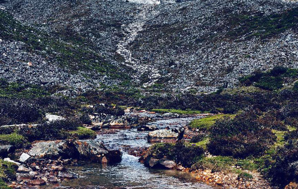 西藏自來水廠生產(chǎn)好水？這家的一體化凈水設(shè)備千萬別錯過！