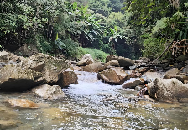暴雨后山泉水如何處理變成安全飲用水