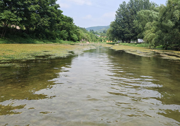 河水處理成工廠生產(chǎn)用水該用什么凈化方法