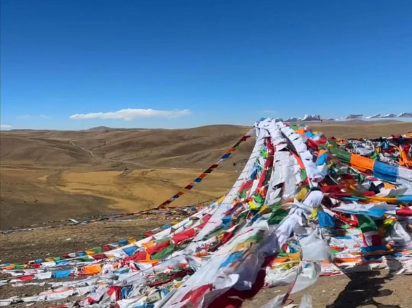 西藏那曲市農(nóng)村千人飲水處理達標怎么做？